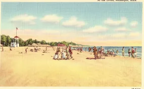 At The Ovals - Muskegon,Michigan Linen Postcard