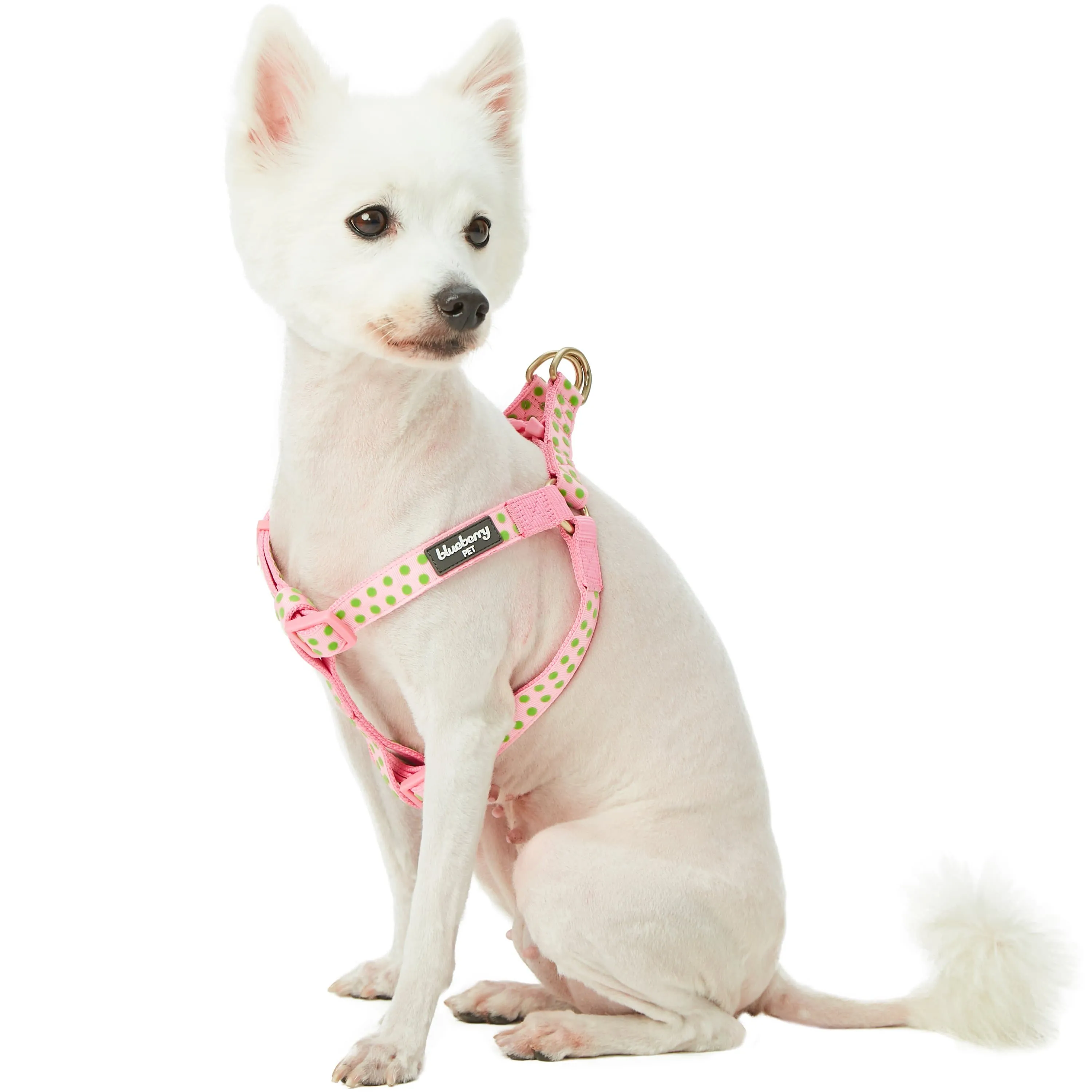 Soft Touch Dotted Velvet Dog Harness