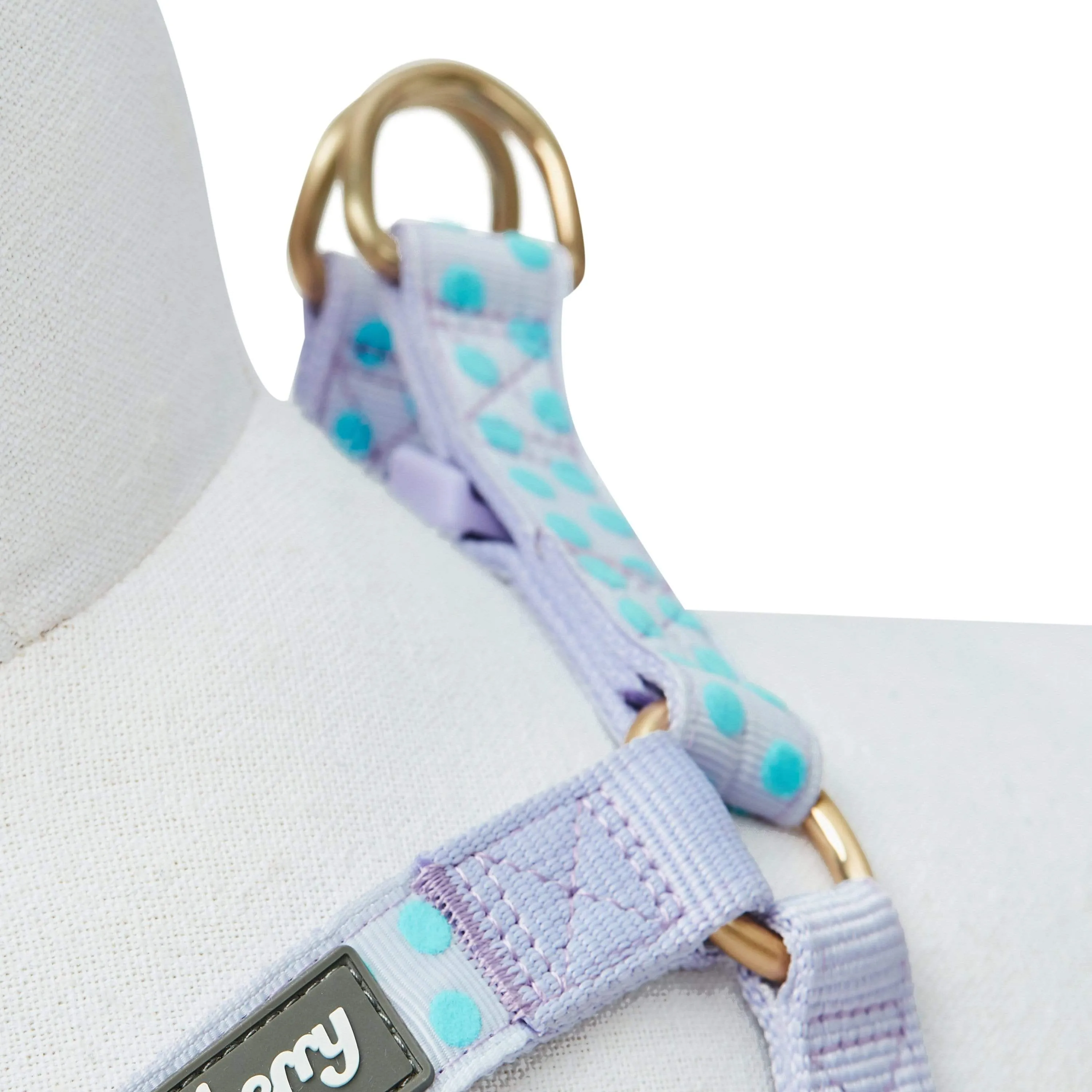 Soft Touch Dotted Velvet Dog Harness