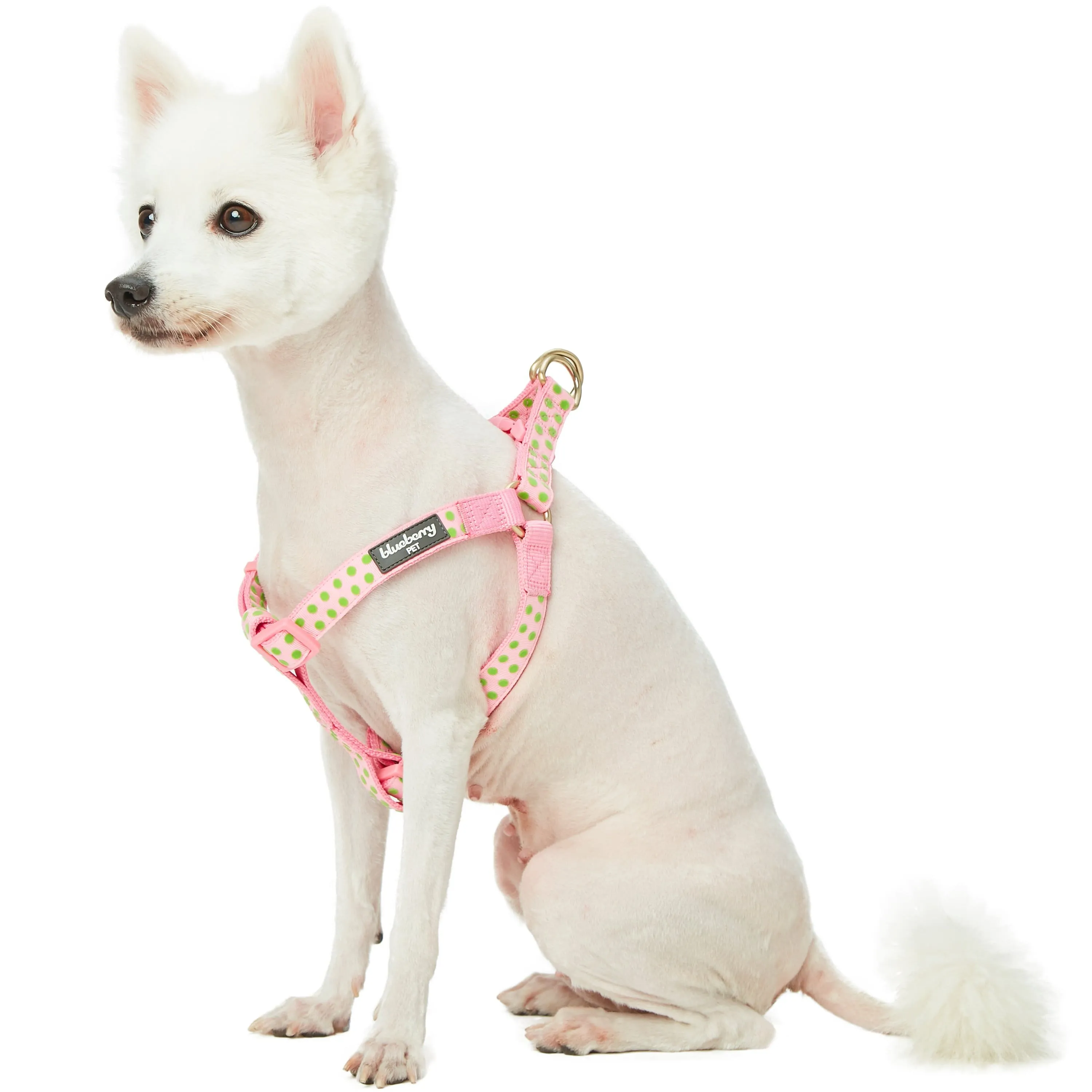 Soft Touch Dotted Velvet Dog Harness