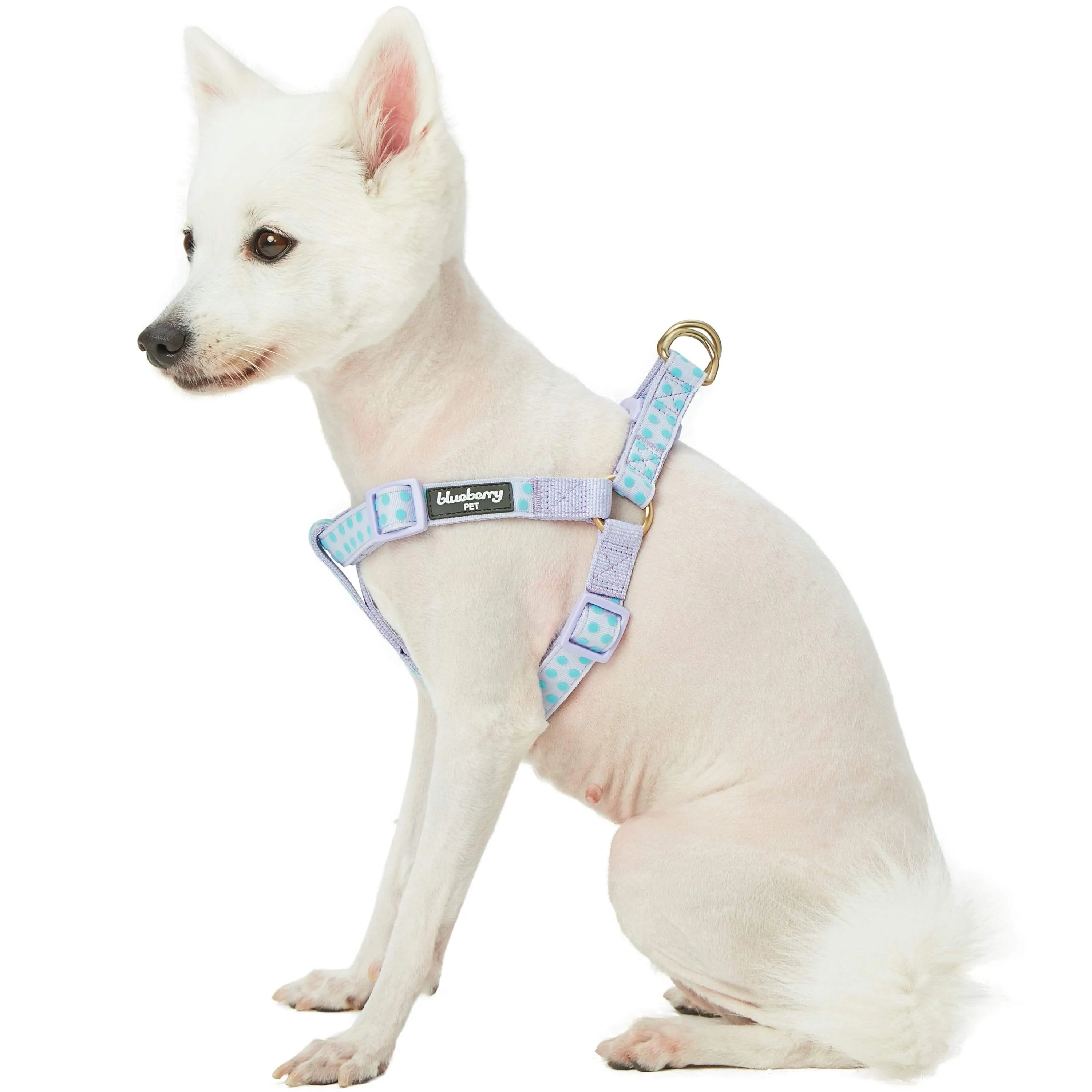 Soft Touch Dotted Velvet Dog Harness