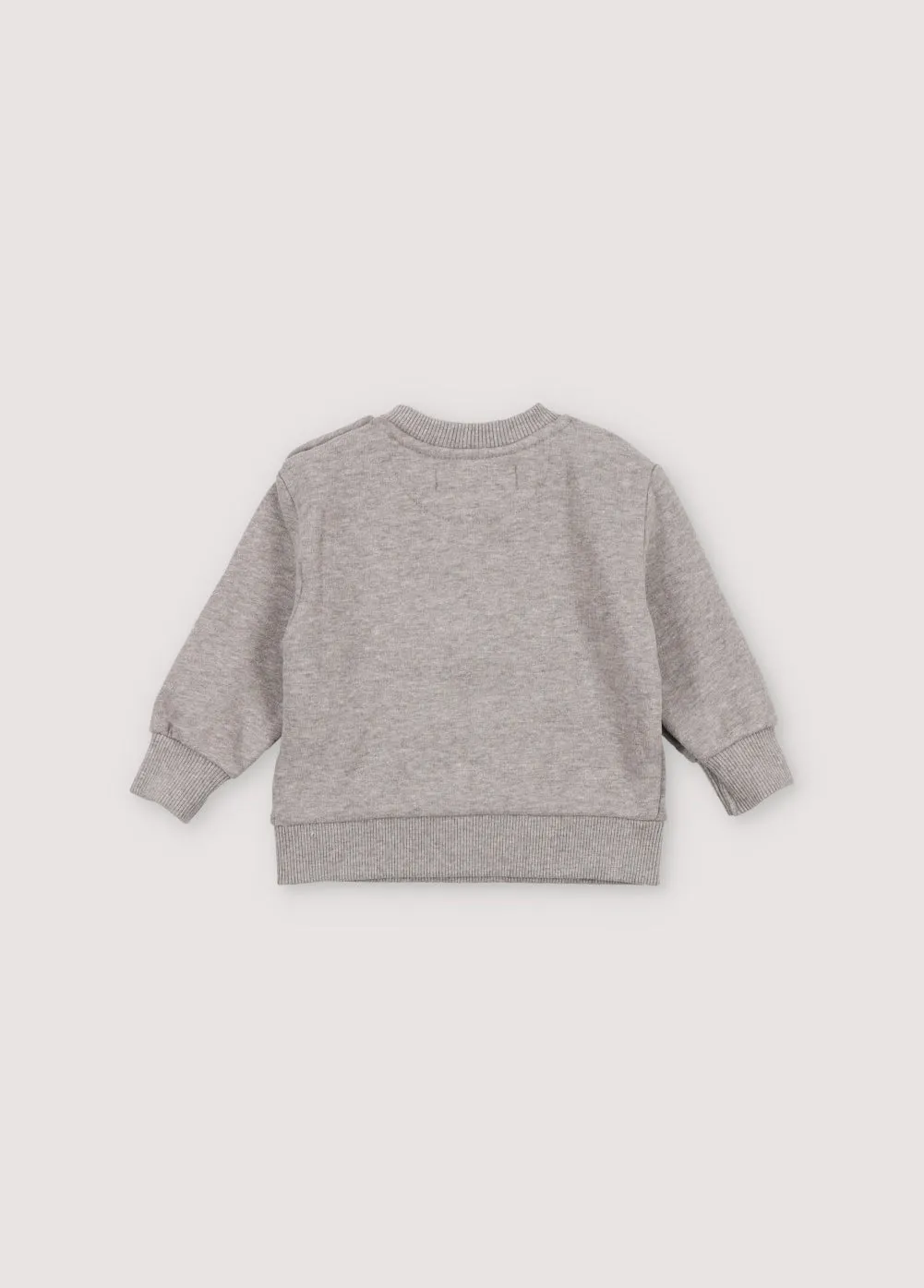 Space Special Baby Sweater-Mist Melange