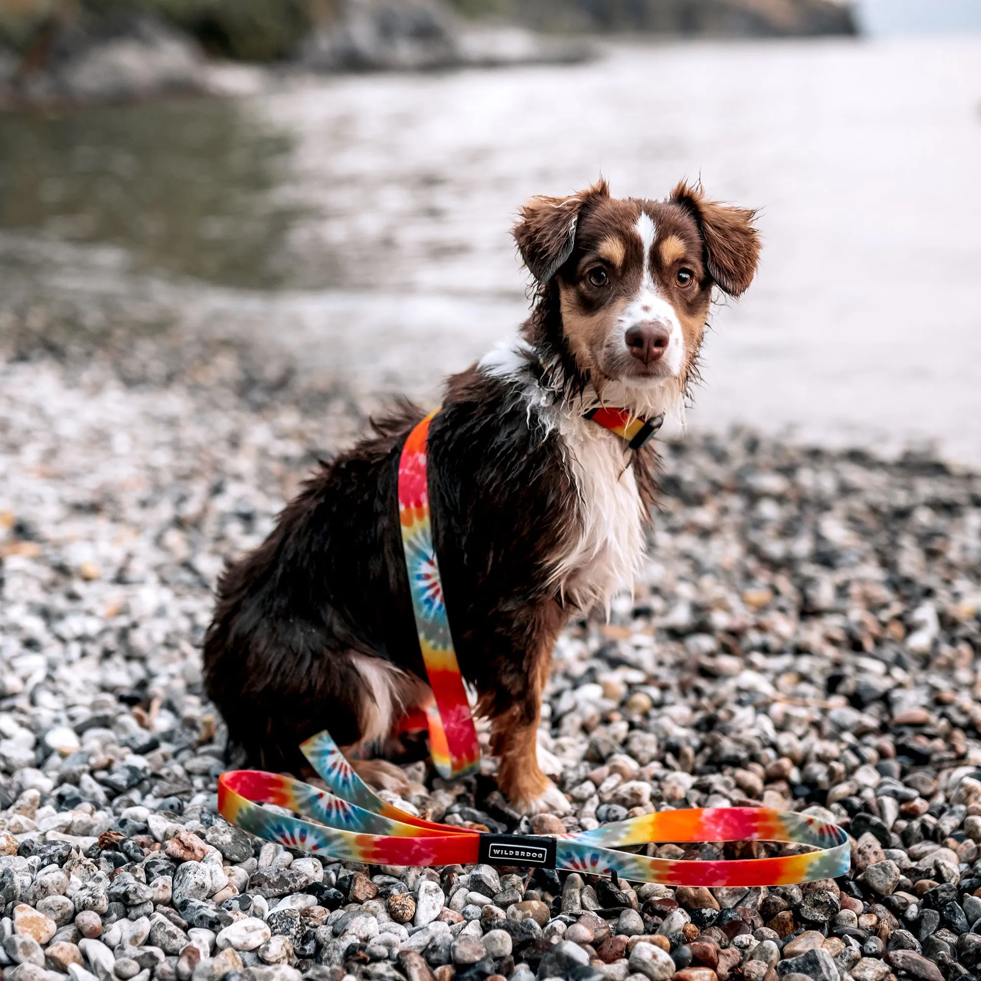 Tie Dye Waterproof Leash