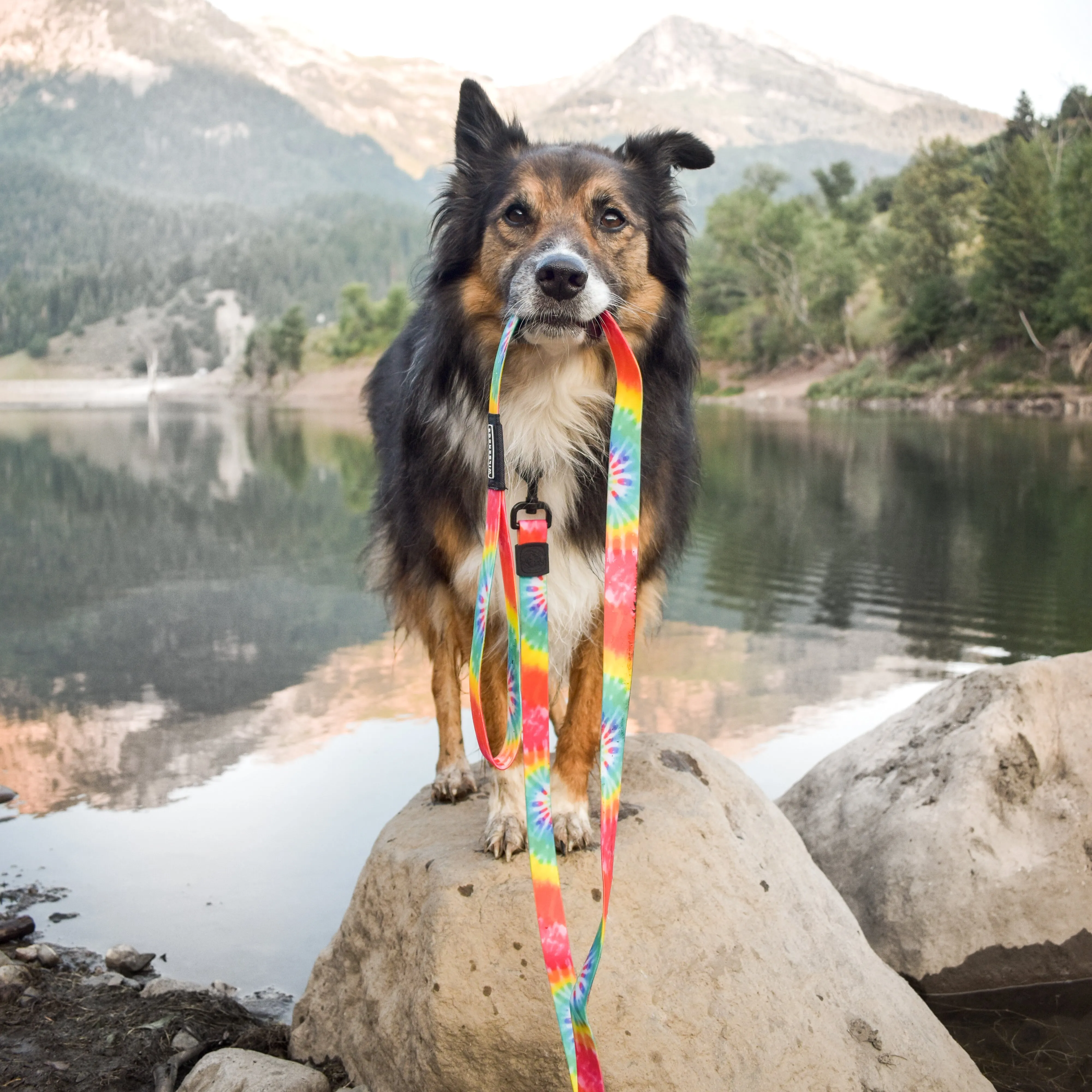 Tie Dye Waterproof Leash