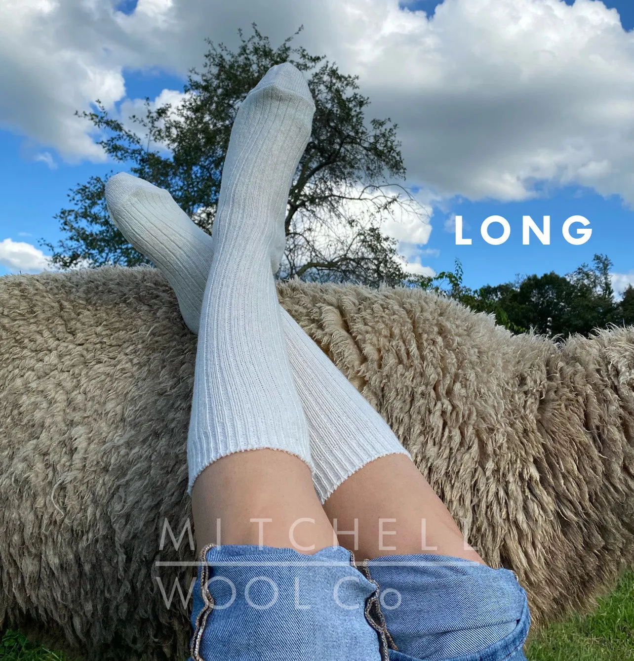 Wool Socks